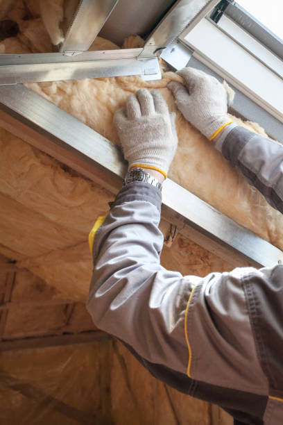 Best Residential Insulation in New Buffalo, MI